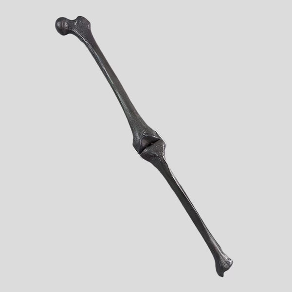 Knee joint imaging product