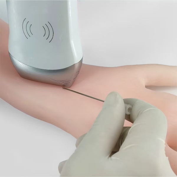 B-ultrasound arteriovenous fistula anastomosis balloon dilation percutaneous transluminal angioplasty PTA training phantom