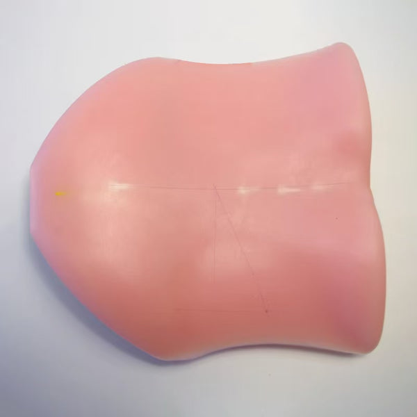 Intervertebral foramen endoscope simulation training model human back model