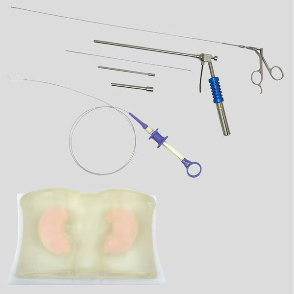 Percutaneous nephrolithotomytraining simulator, percutaneousnephrolithotomyintervention training equipment
