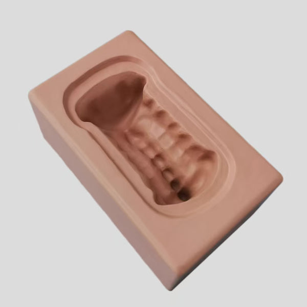 Simulation bone of cervical vertebraemodel from neck 1 to neck 7
