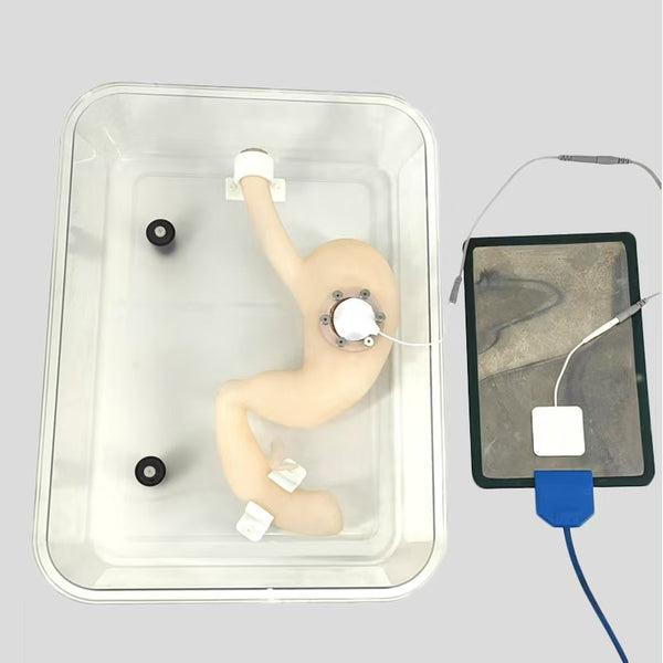 Knee joint simulation bone