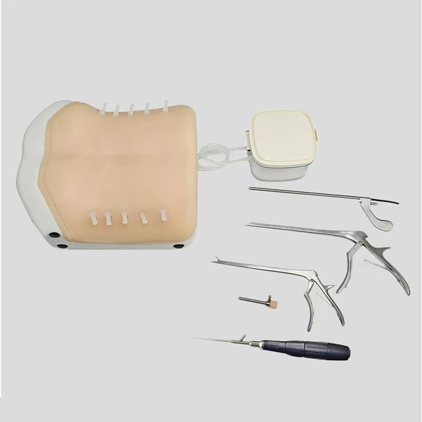 Intervertebral foramen endoscope training UBE surgical simulator