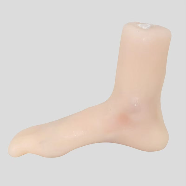 Arthroscopic training model Ankle joint model