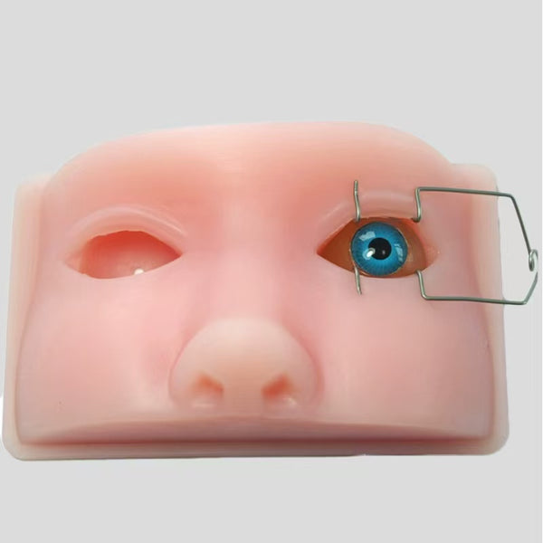 Ophthalmic surgical head model