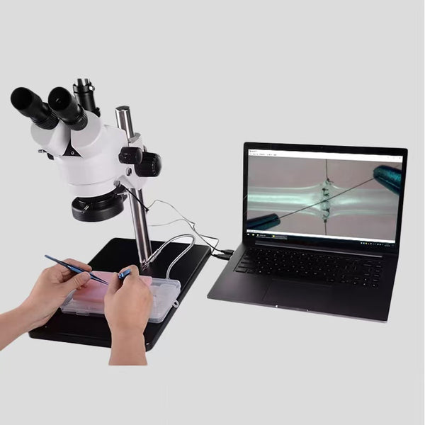 Neurosurgery Microsurgery Trainer