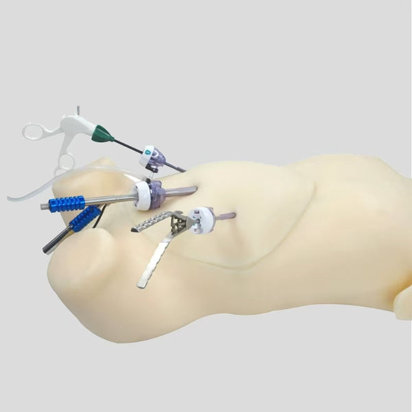 Laparoscopic simulation training, thoracoscopy, hysteroscopy,ureteroscopy,pneumoperitoneum anthropomorphicintegrated device