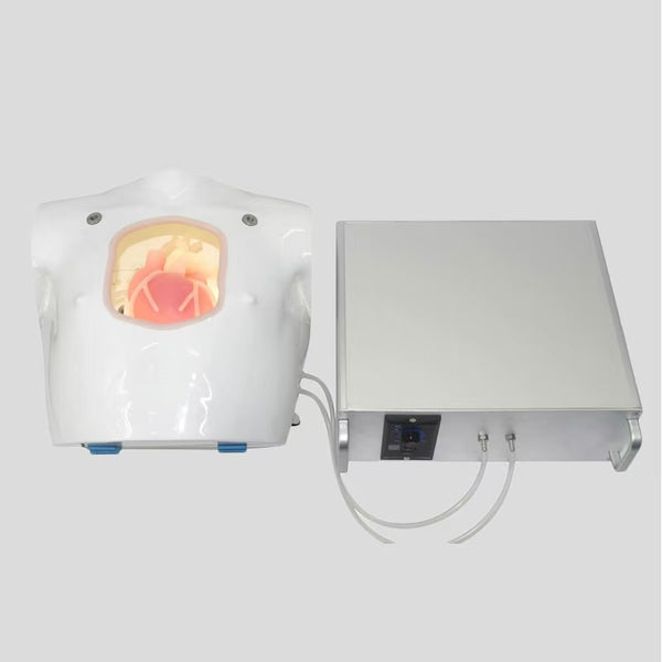 Heart bypass training simulator keeps beating: coronary artery bypass surgery training