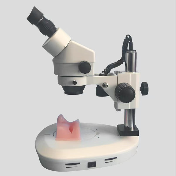 Ophthalmic Microsurgery Training Simulator