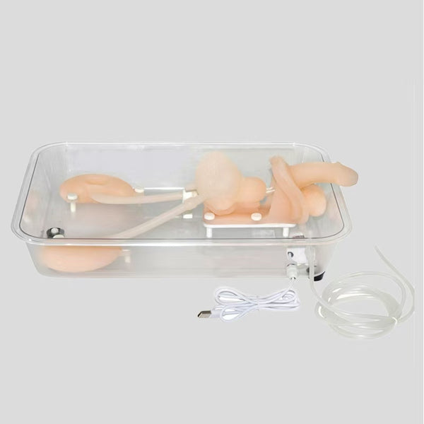 Ureteroscopy training model