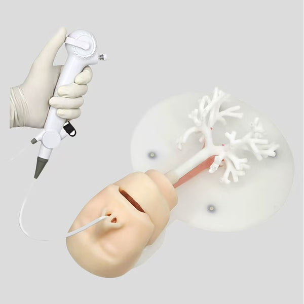 Bronchoscopy training model
