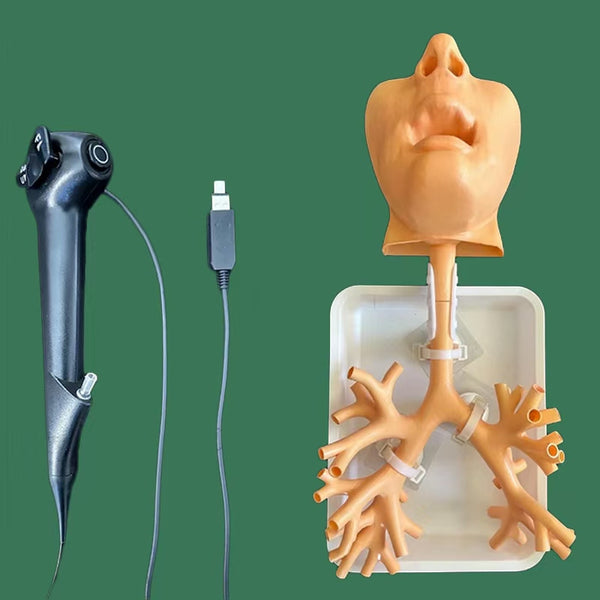 Fiberoptic bronchoscopy training model, electronic bronchial tree training simulator, interventional level 4 practice