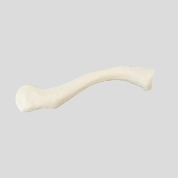 Clavicle simulation bone