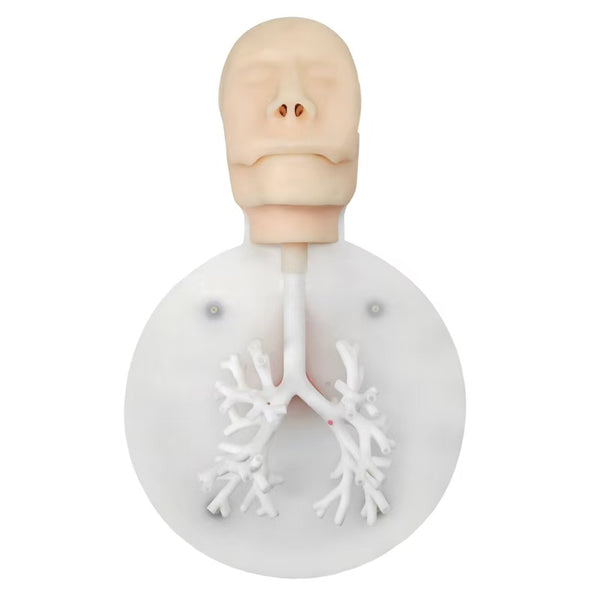 High fidelity bronchoscopy training simulator