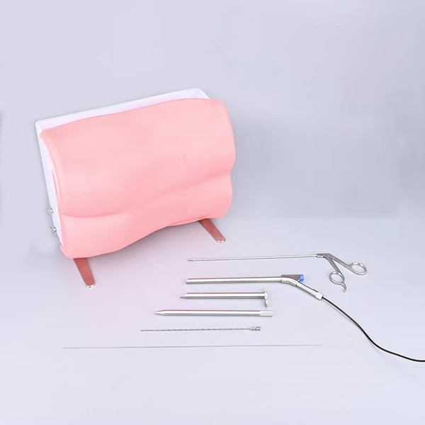 The intervertebral foramen simulation trainer simulates the lumbar vertebrae model 1:1 to imitate the human lumbar vertebrae.