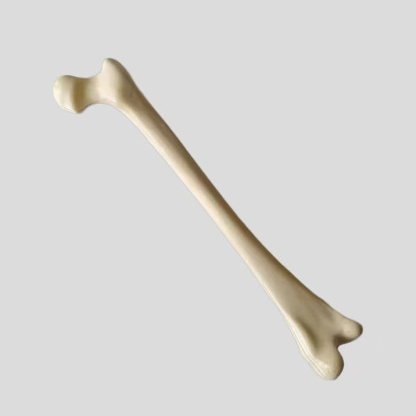 Pediatric femur simulation bone