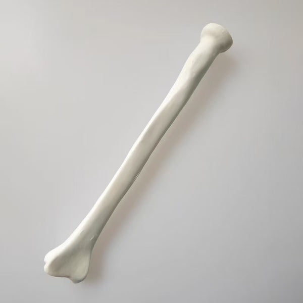 Radial bone simulation