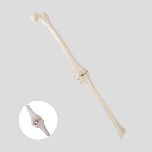 Simulation bone of unicompartmental knee joint