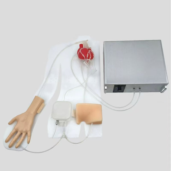 Percutaneous coronaryintervention training simulator, beating heart, PCl training, cardiovascularintervention surgery practice