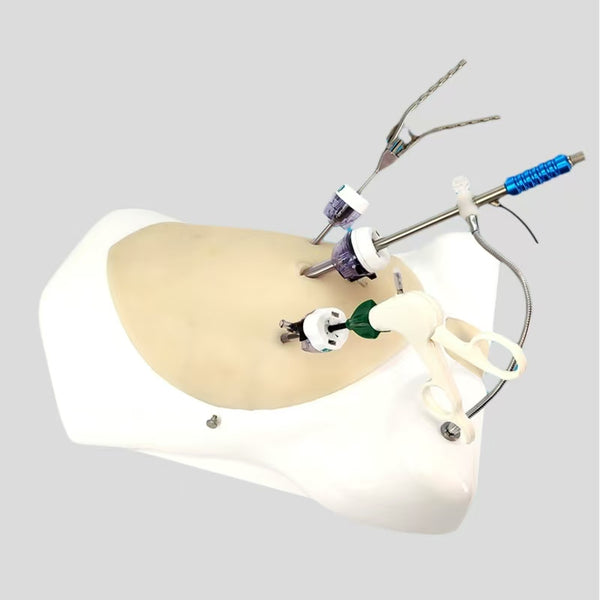 Laparoscopic Simulation Trainer Laparoscopic Surgery Trainer