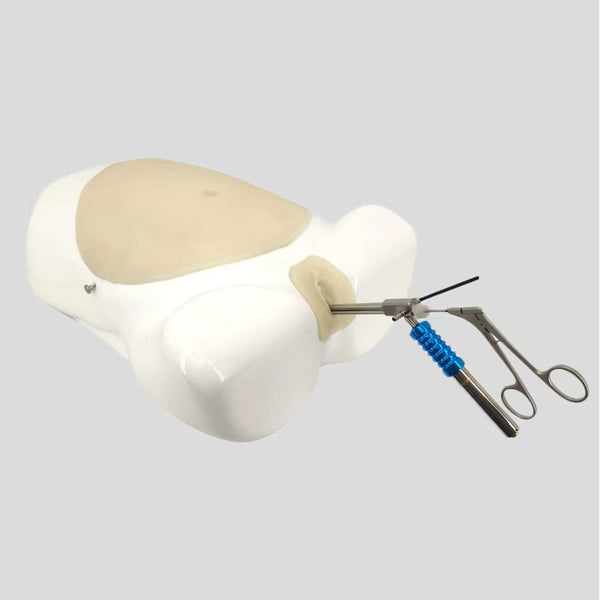 Laparoscopic Simulation Trainer Laparoscopic Surgery Trainer