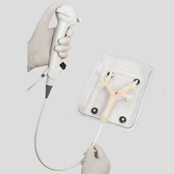 Bronchoscopy Training Model Fiber Bronchoscopy Practice