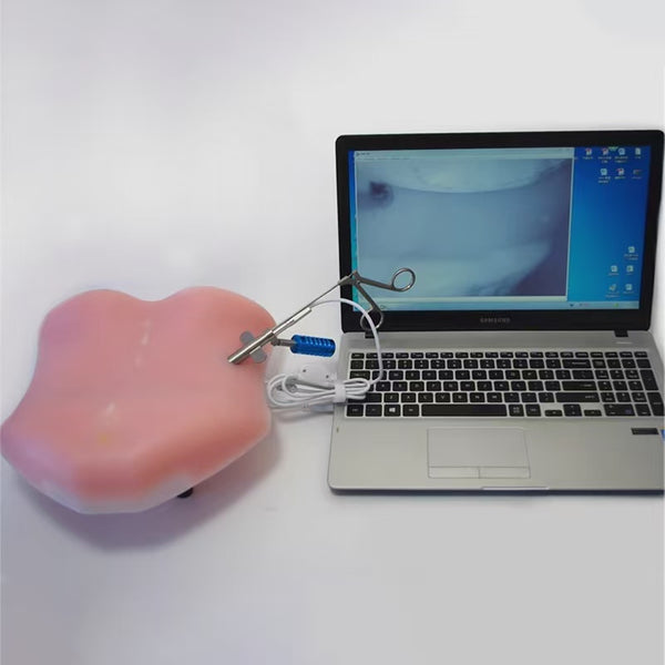 Intervertebralforamen endoscope simulation trainer