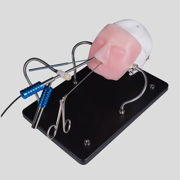 Neuroendoscope simulation trainer, high-definition endoscopettraining equipment+silicone simulation model