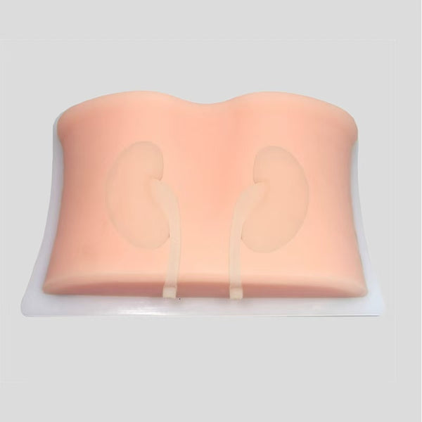 Ultrasound guided renal puncture training model