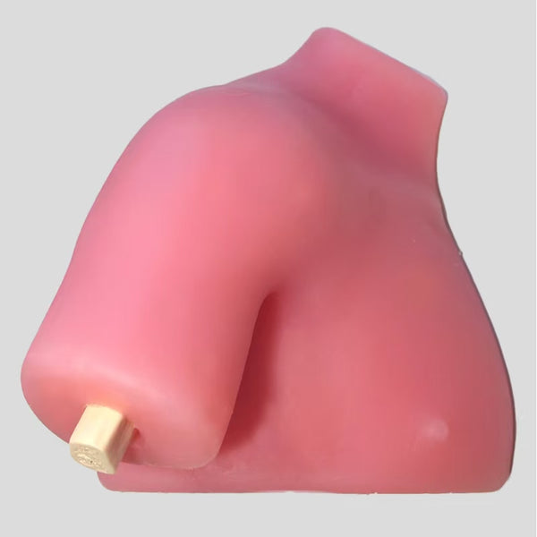 Shoulder arthroscopy training model