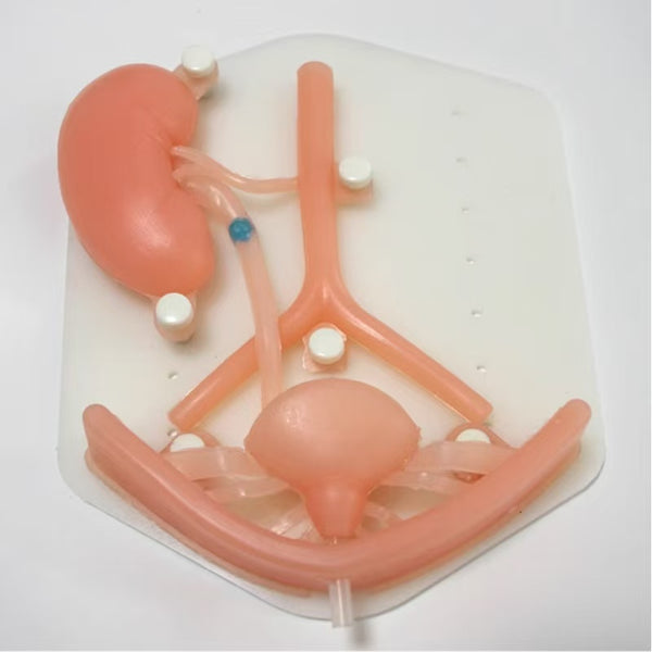 Urology Laparoscopic Simulation Training Module