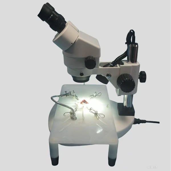 Microsurgerytraining microscope Extracorporeal Brain and Hand Microsurgery
