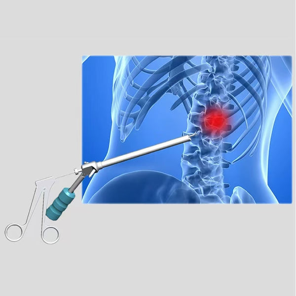 Intervertebralforamen endoscope simulation trainer
