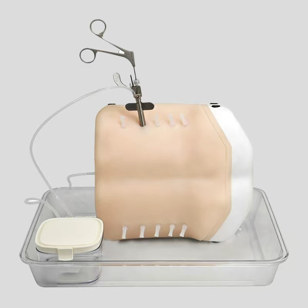 Intervertebralforamen endoscope training simulator