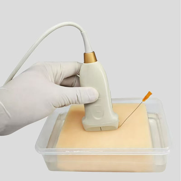 Ultrasound guided puncture training teaching tool