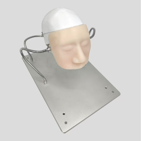 Neuroendoscopic training of facial skull model (with nasal cavity) and sellar approach training model